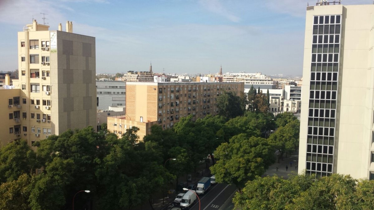 piso-nervion